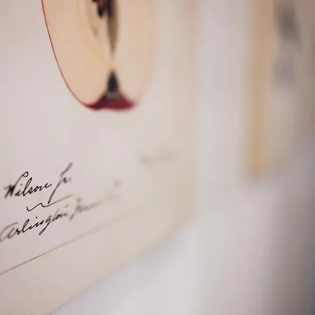 Native Skawinska 5 * Cracovie