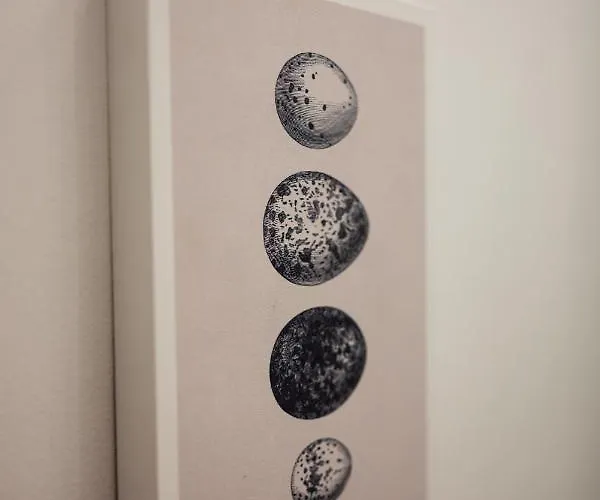 Native Skawińska 5 Lägenhet *