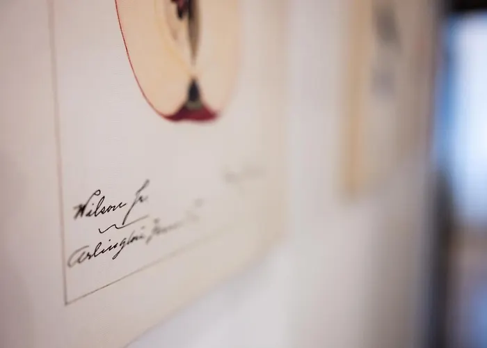 Native Skawińska 5 * Kraków