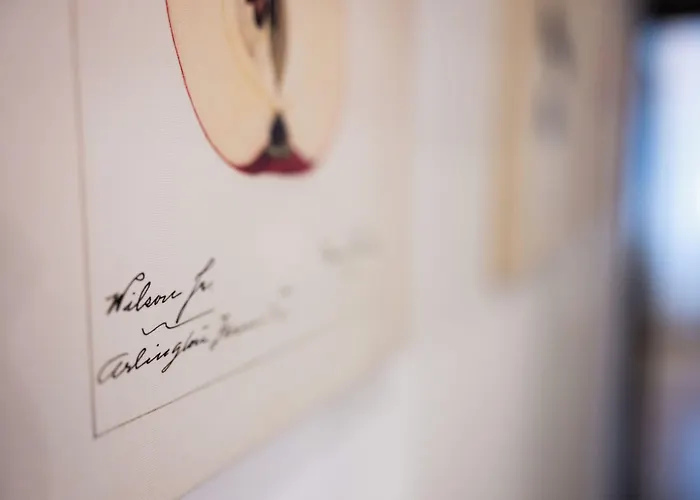 Lägenhet Native Skawińska 5 Kraków